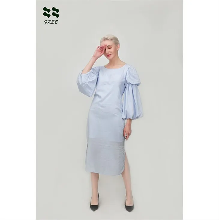ong sleeve balloon sleeve dress